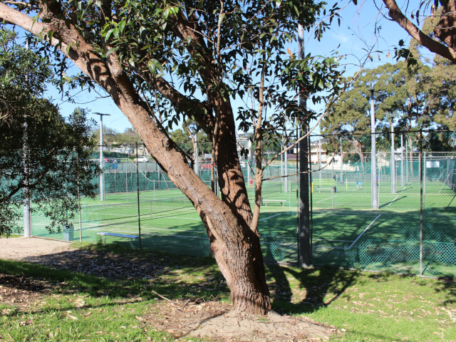 Ryde Tennis Centre in Ryde